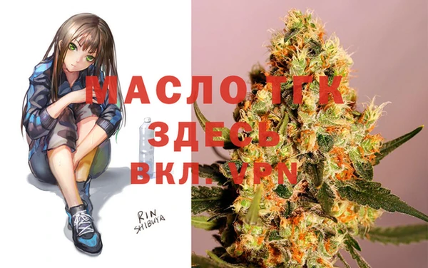 гидра Кинешма