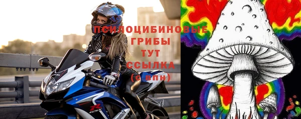 крисы Киреевск