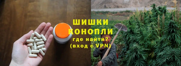 гидра Кинешма