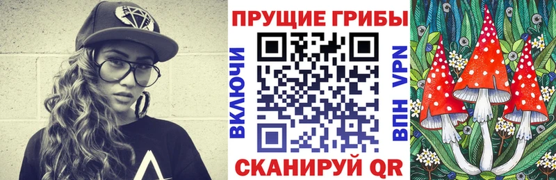 Галлюциногенные грибы Cubensis  Купить закладки  Зубцов 
