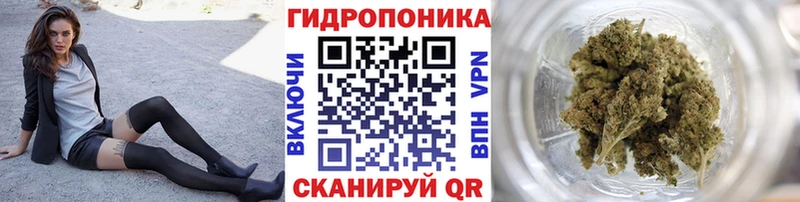 Бошки Шишки конопля  Купить где  Зубцов 